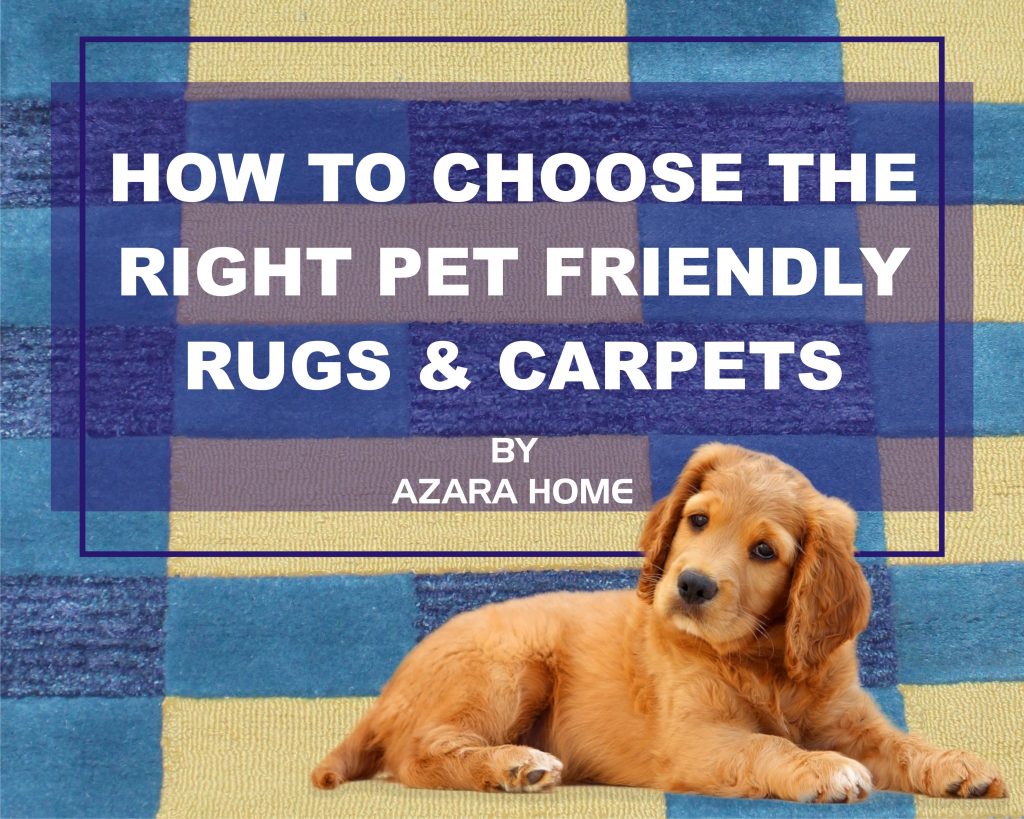 How to  Choose the Right Pet Friendly Rugs & Carpets Online