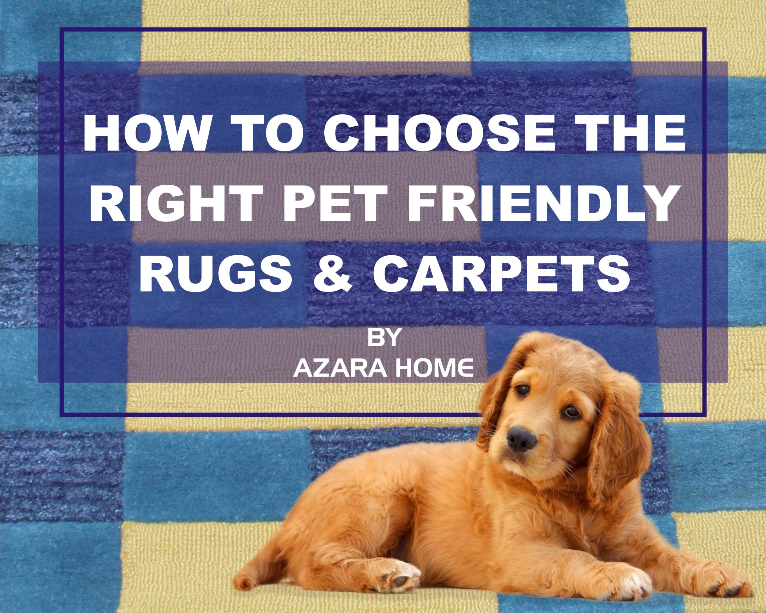 How to Choose a Pet-Friendly Rug?, Lilla Rugs